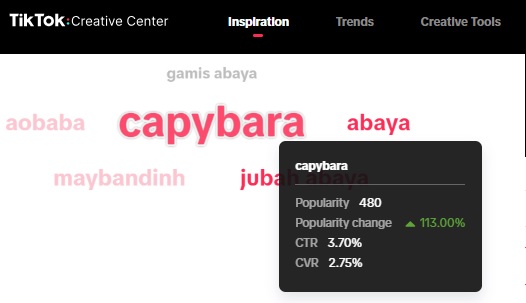 Tik Tok Capybara Trend Grafik